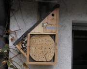 bienenhotel-mit-vogelkasten