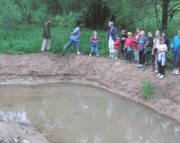 unser-amphibienteich