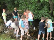 Wasserqualitt Projektwoche Grundschule Poppenhausen