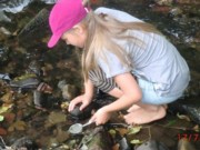 Wasserqualitt Projektwoche Grundschule Poppenhausen