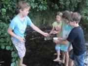 Wasserqualitt Projektwoche Grundschule Poppenhausen
