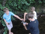 Wasserqualitt Projektwoche Grundschule Poppenhausen