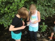 Wasserqualitt Projektwoche Grundschule Poppenhausen