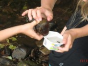 Wasserqualitt Projektwoche Grundschule Poppenhausen